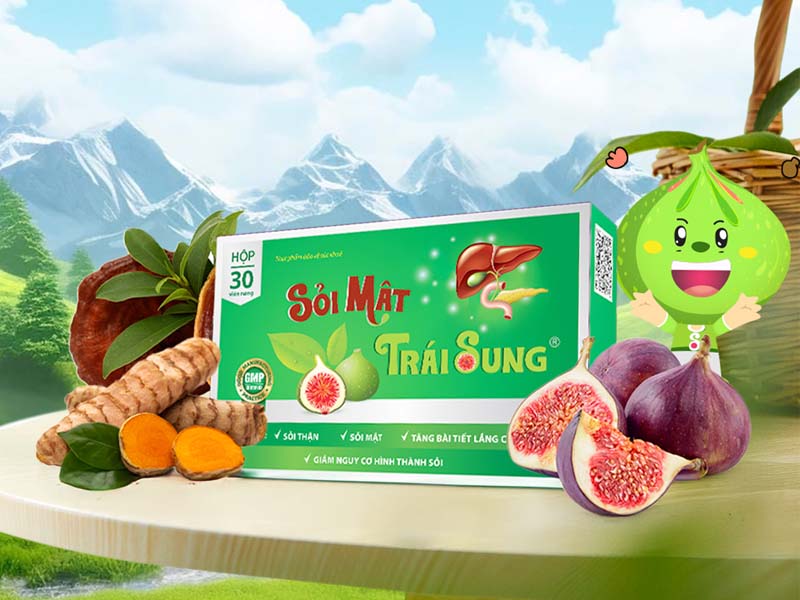 Sỏi mật trái sung điều trị sỏi thận hiệu quả