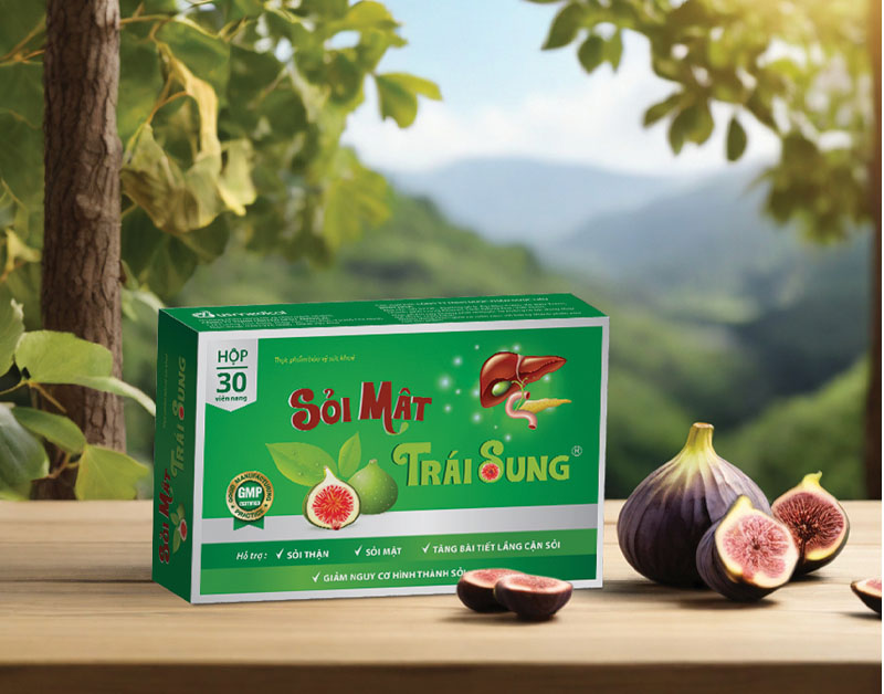 Dùng sỏi mật trái sung để điều trị sỏi thận mà không cần tán sỏi 