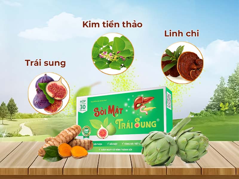 Sỏi mật trái sung điều rị sỏi mật bao lâu sạch?