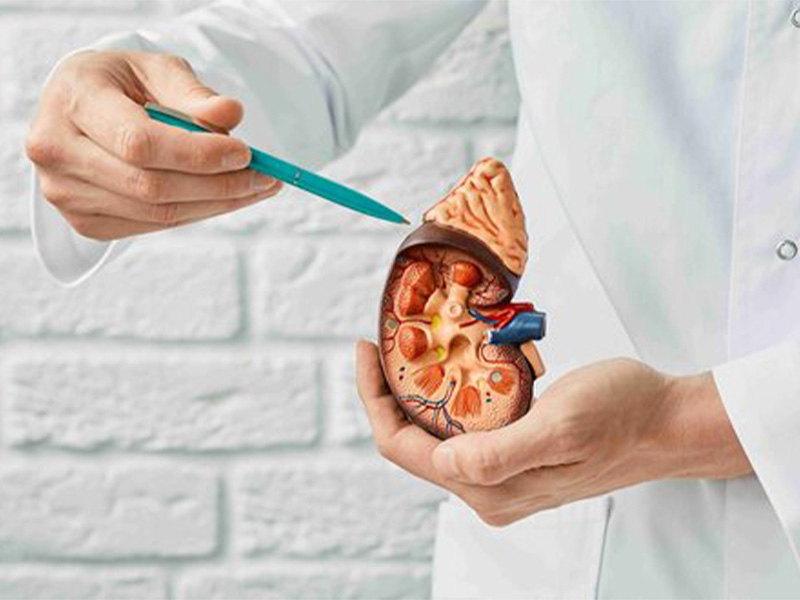 Điều trị sỏi tiết niệu phụ thuộc vào kích thước sỏi và mức độ biến chứng của bệnh